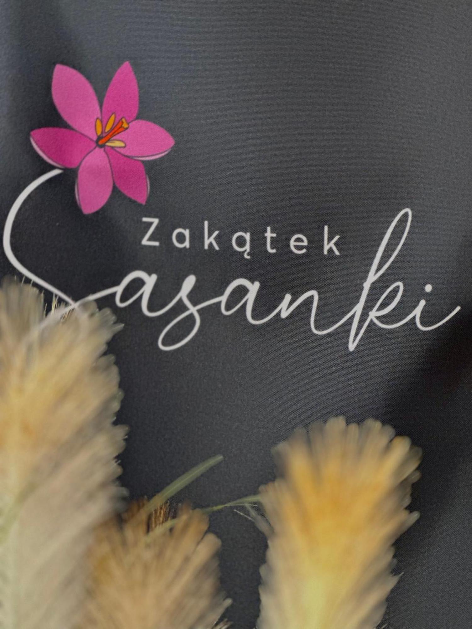 Zakatek Sasanki